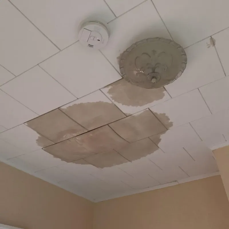Ceiling Water Damage Repair in Mounds, OK