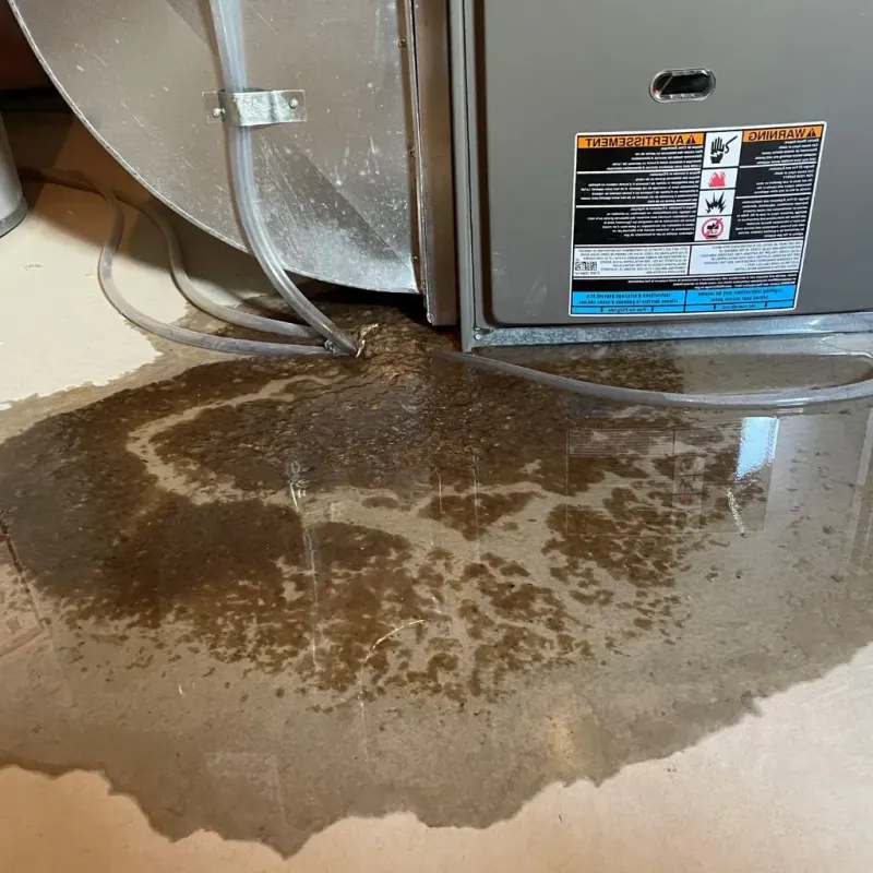 Pipe Burst and Leak Restoration in Mounds, OK